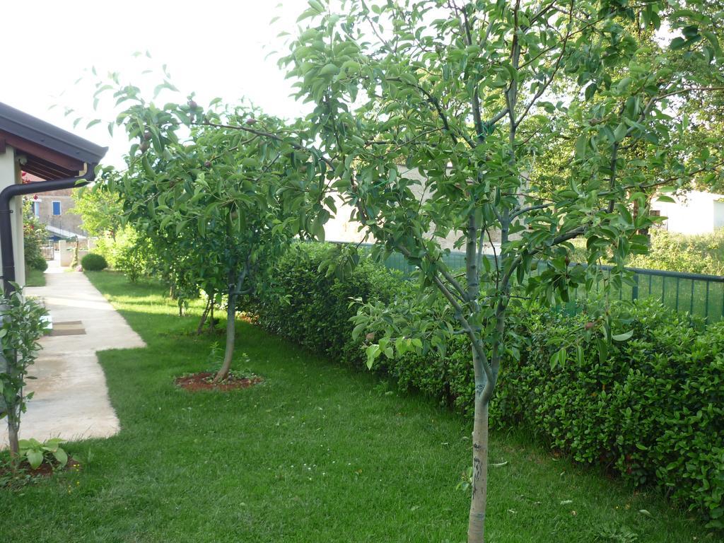 Apartmani Radin Rosini Экстерьер фото